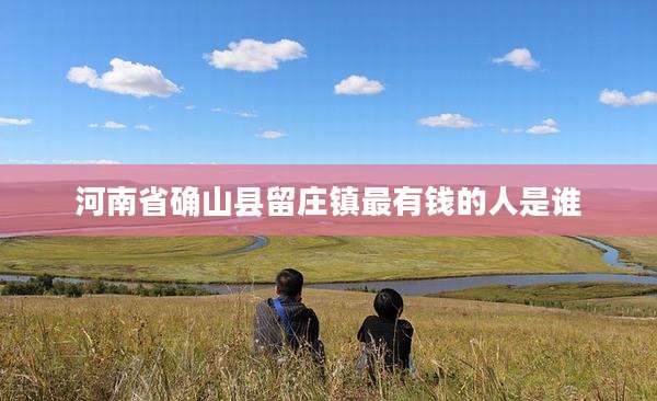 河南省确山县留庄镇最有钱的人是谁