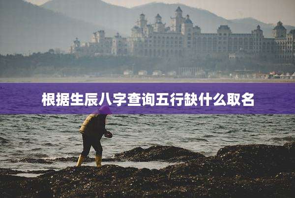 根据生辰八字查询五行缺什么取名