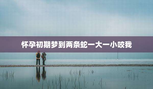 怀孕初期梦到两条蛇一大一小咬我