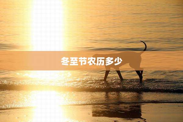 冬至节农历多少
