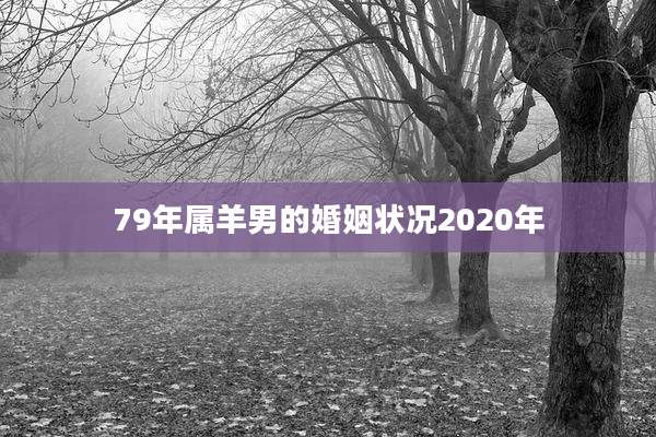 79年属羊男的婚姻状况2020年