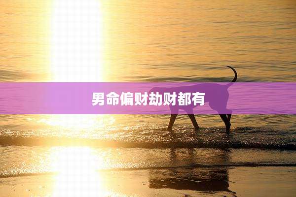 男命偏财劫财都有