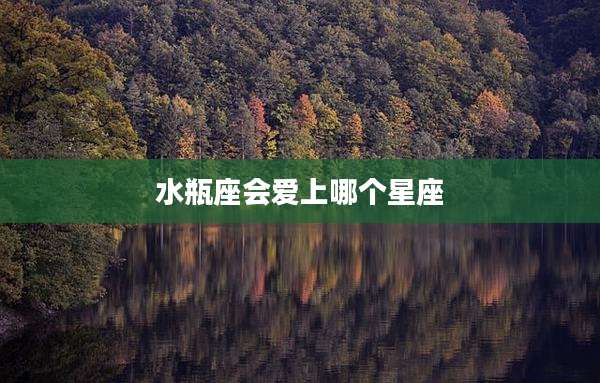 水瓶座会爱上哪个星座