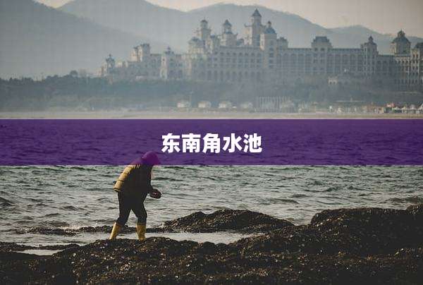 东南角水池