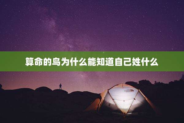 算命的鸟为什么能知道自己姓什么