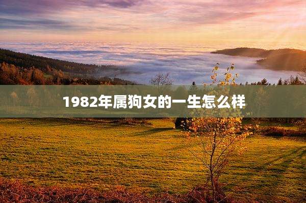 1982年属狗女的一生怎么样
