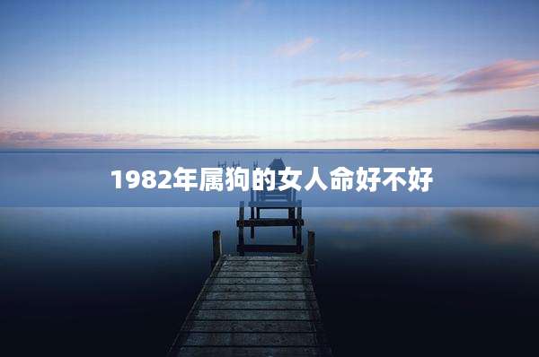 1982年属狗的女人命好不好