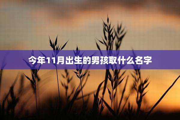 今年11月出生的男孩取什么名字