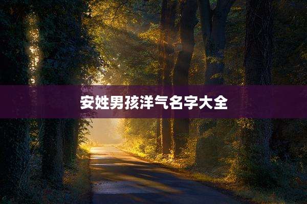 安姓男孩洋气名字大全