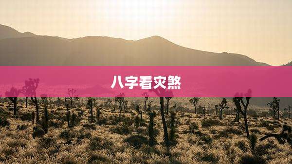 八字看灾煞