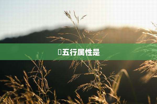 宬五行属性是