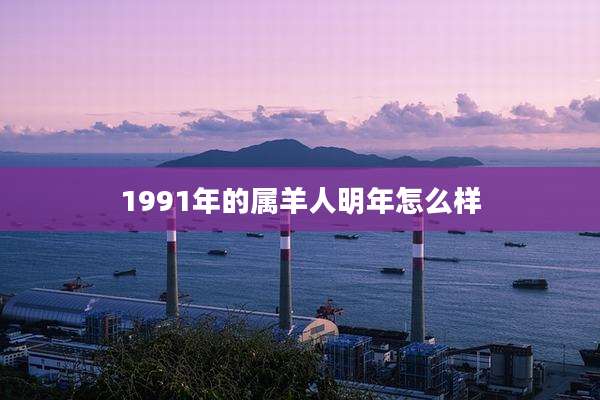 1991年的属羊人明年怎么样