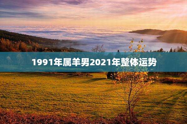 1991年属羊男2021年整体运势