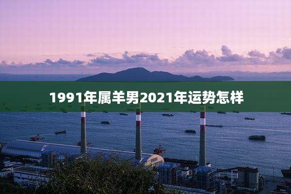 1991年属羊男2021年运势怎样
