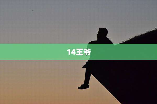 14王爷