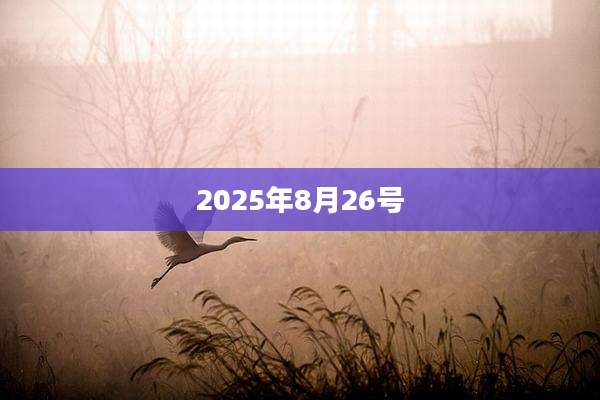 2025年8月26号