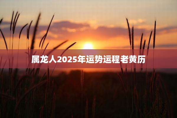属龙人2025年运势运程老黄历