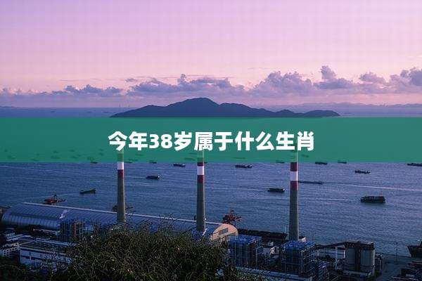 今年38岁属于什么生肖