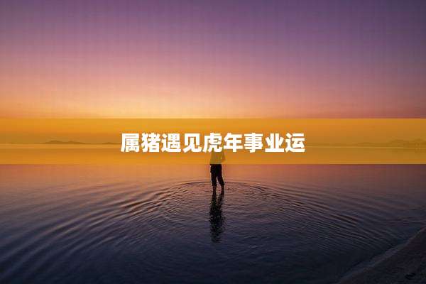 属猪遇见虎年事业运