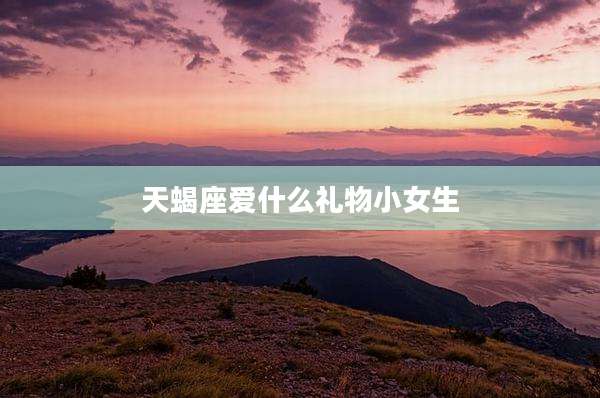 天蝎座爱什么礼物小女生
