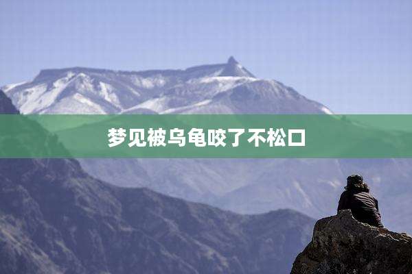 梦见被乌龟咬了不松口