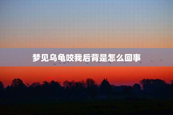 梦见乌龟咬我后背是怎么回事