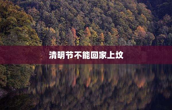 清明节不能回家上坟