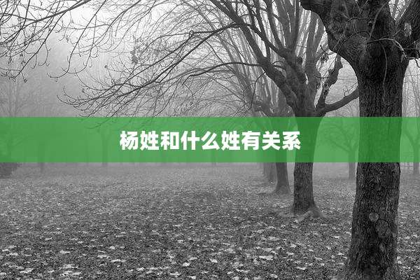 杨姓和什么姓有关系
