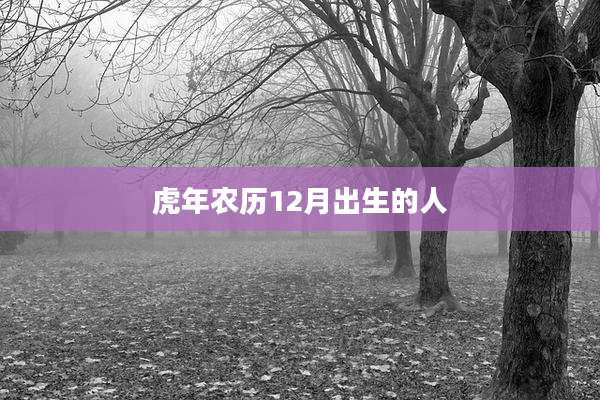 虎年农历12月出生的人