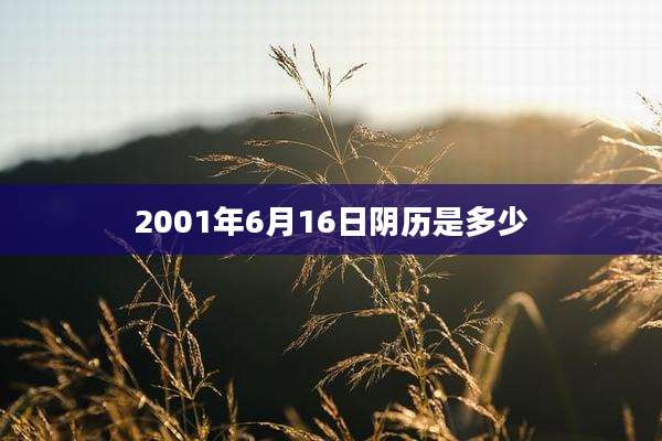 2001年6月16日阴历是多少