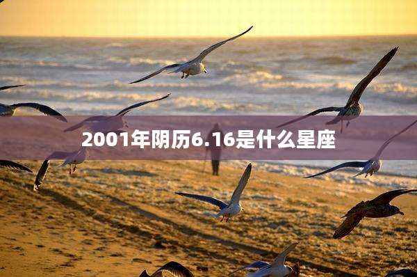 2001年阴历6.16是什么星座