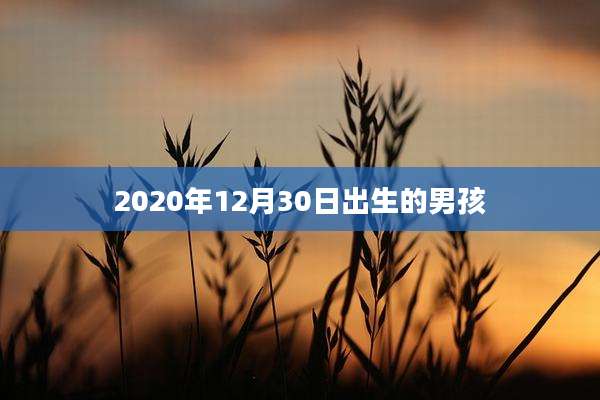 2020年12月30日出生的男孩