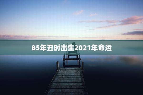 85年丑时出生2021年命运