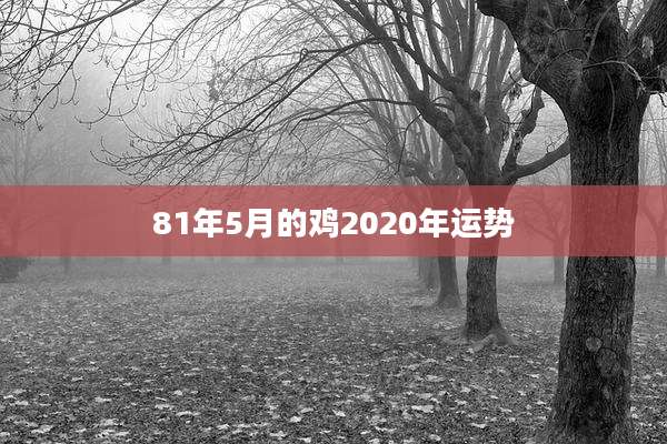 81年5月的鸡2020年运势