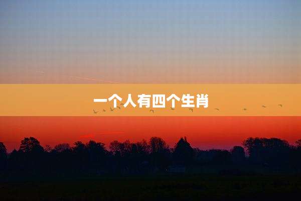 一个人有四个生肖