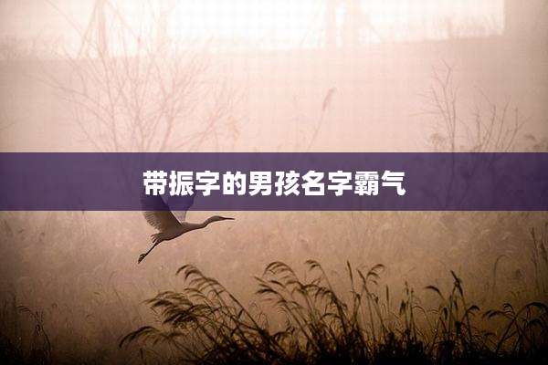 带振字的男孩名字霸气