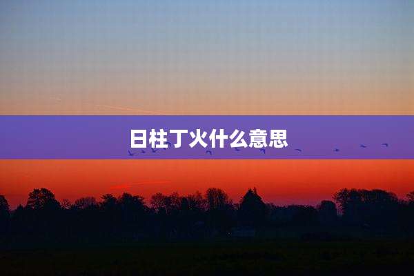 日柱丁火什么意思