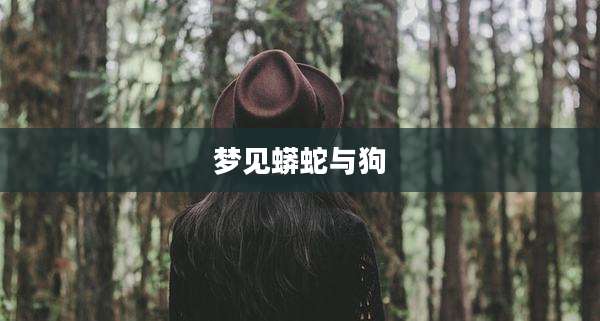 梦见蟒蛇与狗