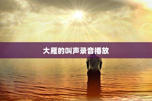 大雁的叫声录音播放