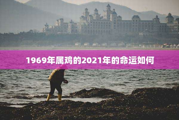 1969年属鸡的2021年的命运如何