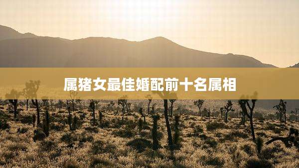 属猪女最佳婚配前十名属相