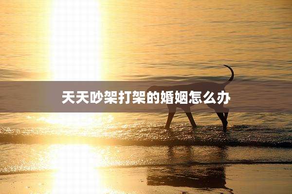 天天吵架打架的婚姻怎么办