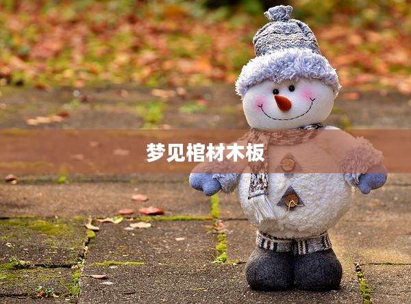 梦见棺材木板