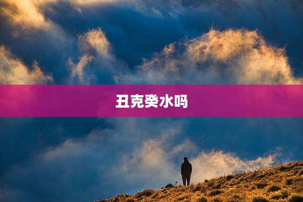 丑克癸水吗