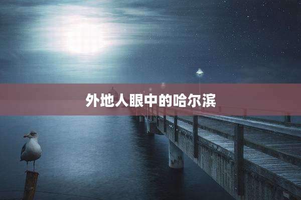 外地人眼中的哈尔滨