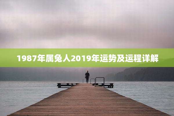 1987年属兔人2019年运势及运程详解