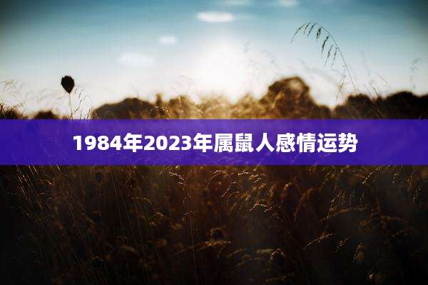 1984年2023年属鼠人感情运势