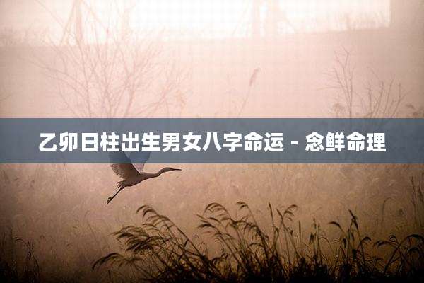 乙卯日柱出生男女八字命运 - 念鲜命理