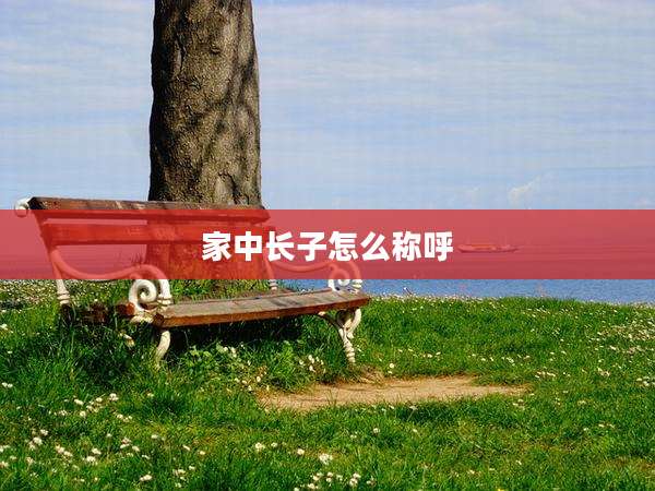 家中长子怎么称呼