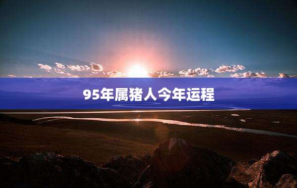 95年属猪人今年运程